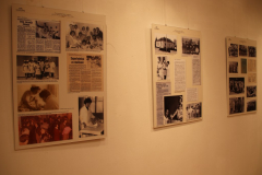 IMG_9009_1024x683