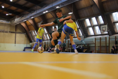 IMG_2386_1024x683