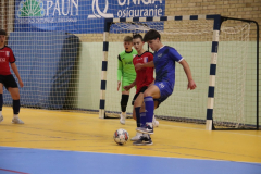 IMG_2546_1024x683