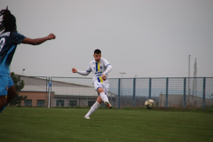 IMG_2768_1024x683