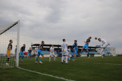 IMG_2782_1024x683