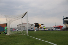 IMG_2830_1024x683