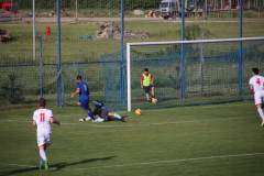 IMG_8274_1024x683
