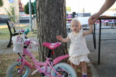 IMG_7699_1024x683