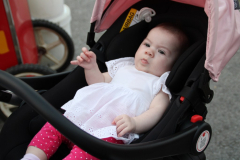 IMG_7811_1024x683