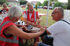IMG_7379_1024x683