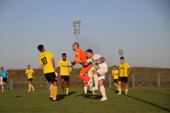 IMG_0516_1024x683