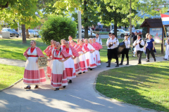IMG_0046_1024x683