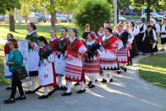 IMG_0094_1024x683