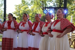 IMG_0139_1024x683