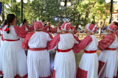 IMG_0211_1024x683