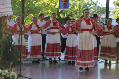 IMG_0254_1024x683