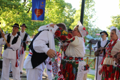 IMG_0348_1024x683