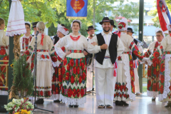 IMG_0409_1024x683