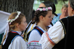 IMG_0421_1024x683