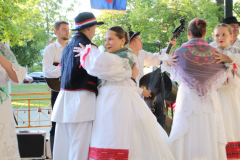 IMG_0488_1024x683