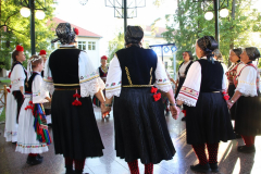 IMG_0529_1024x683