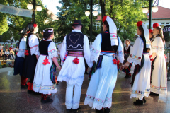IMG_0547_1024x683