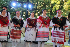IMG_0706_1024x683