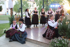 IMG_0774_1024x683