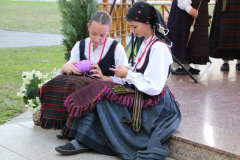 IMG_0776_1024x683