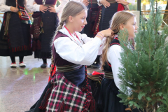 IMG_0779_1024x683