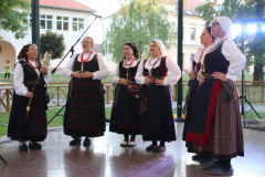 IMG_0800_1024x683