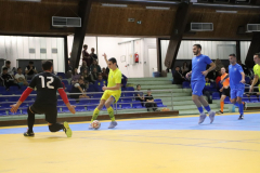 IMG_1507_1024x683