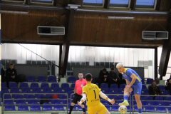 IMG_5606_1024x683