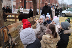 IMG_6884_1024x683