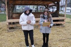 viber_slika_2025-12-22_12-03-16-549_1024x632