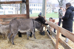 viber_slika_2025-12-22_12-03-19-254_1024x614