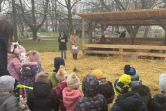 viber_slika_2025-12-22_13-01-57-077_1024x576