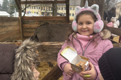 viber_slika_2025-12-22_13-01-57-277_1024x576