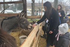 viber_slika_2025-12-22_13-01-57-632_1024x576