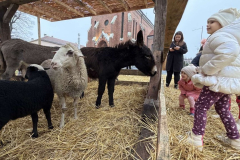 viber_slika_2025-12-22_13-01-57-843_1024x576