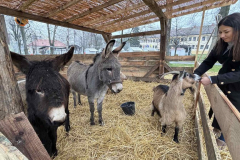 viber_slika_2025-12-22_13-02-36-611_1024x576