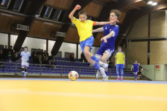 IMG_0005_1024x683