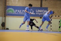 IMG_0131_1024x683