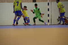IMG_9785_1024x683