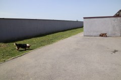 IMG_0284_1024x683