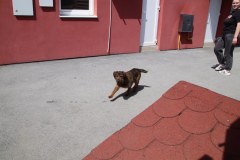 IMG_0288_1024x683