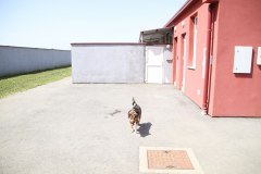 IMG_0291_1024x683