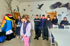 5ed71ace-ea62-46ed-96c2-fd0aa91845bf