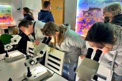 ecde9d07-c03e-43ed-8f27-10ace1c25a9c