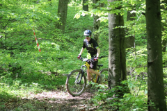 IMG_5461_1024x683