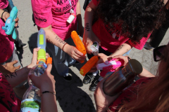 IMG_2284_1024x683