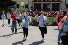 IMG_2339_1024x683