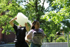IMG_2487_1024x683