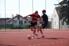 IMG_6974_1024x683